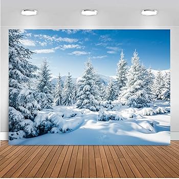 股旅　舞台ステージ幕　雪景色の布製 61aakfNbafL._UF894,1000_QL80_.jpg